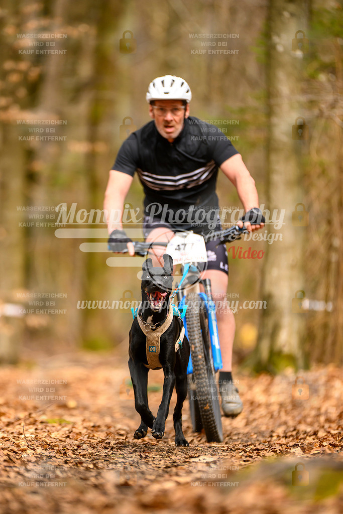 MompixPhotography_Habay2025_SA_Bike-131 | mompixphotography
