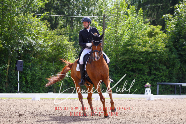 DKP41300 | Turnierfotos kaufen im Webshop von Daniel Kuhl Photography – entdecke professionelle Reitsportfotos aus Turnieren & Events. Hochwertige Turnierbilder online bestellen & sichern. Jetzt Fotos von Reitsportturnieren kaufen!