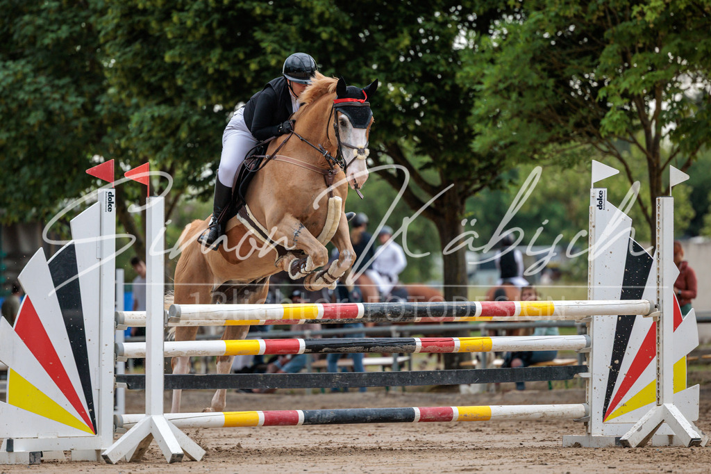 20260531-_3LI3416 | Tierfotografie Pferde, Hunde, Katzen, Haustiere.
Turnierfotografie Reitturniere, Reiten, Springreiten, Dressur in Hanau, dem Main-Kinzig-Kreis und dem Rhein-Main- Gebiet um Frankfurt