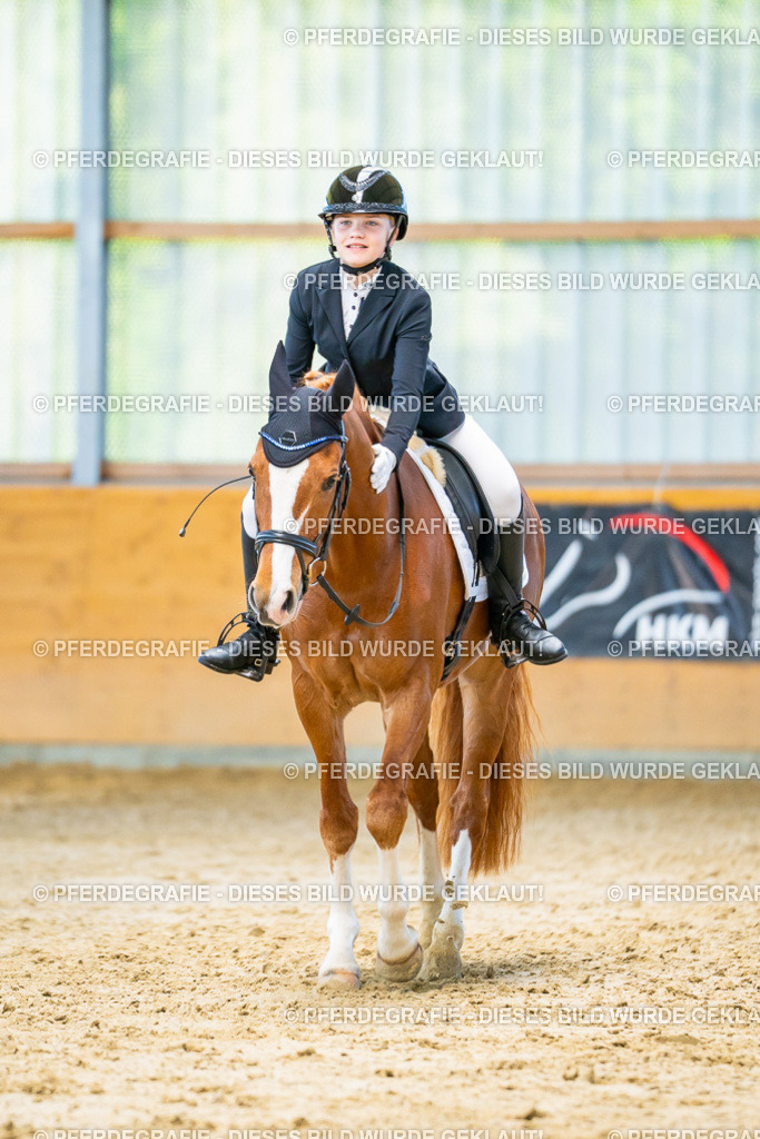 DSC06905 | Pferdegrafie