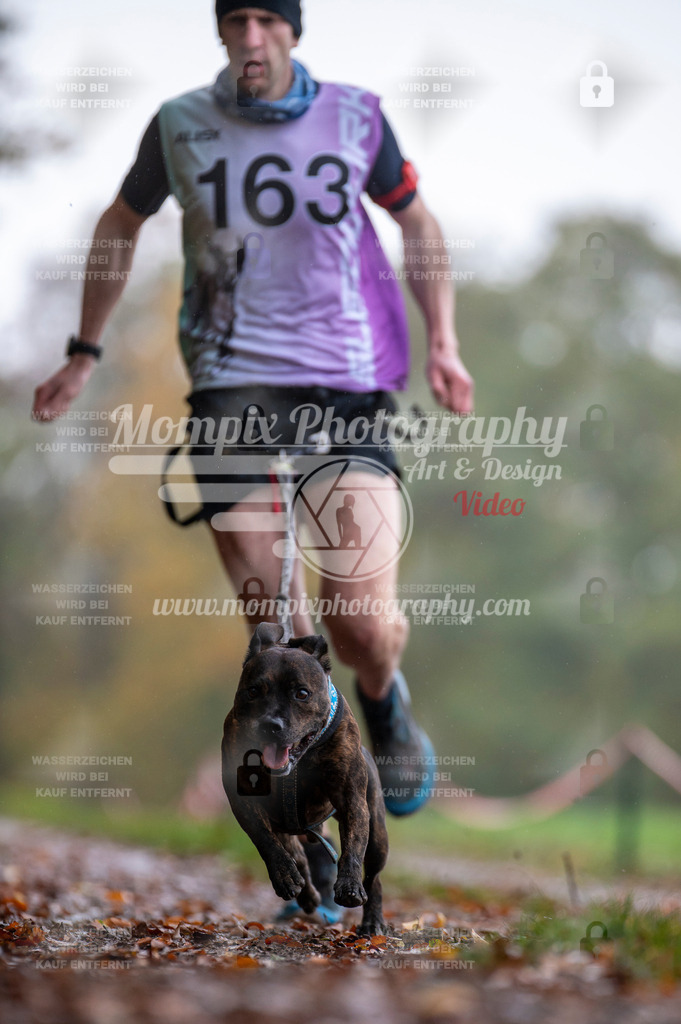 DBT_DAKM_SA_4_11_2023_Canicross-7 | PayLife