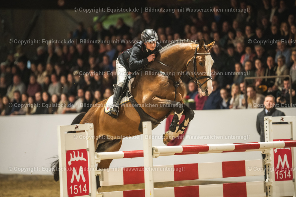 20240302_Hengstvorstellung_Marbach_TOMsPiC_0501-2 | equistock