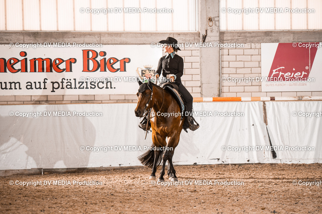 ZH100669 | dv-media-shop - Realisiert mit Pictrs.com