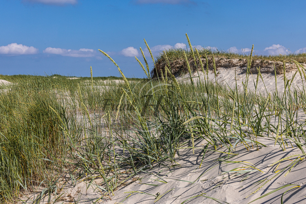 St. Peter Ording | St. Peter Ording - Realisiert mit Pictrs.com