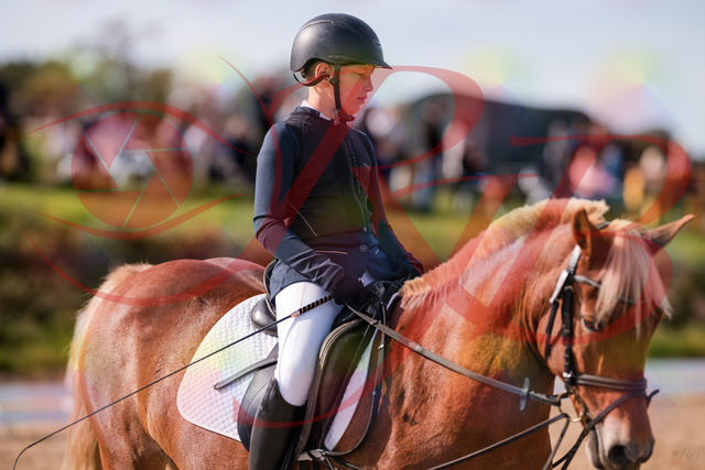 2026_10_03_Siefer-Hof_115956_Z81_01152256 | Professionelle Reitsport-, Turnier- und Eventfotografie von Robert Broda. Galerien mit ausgewählten und bearbeiteten Bildern direkt online ansehen und bestellen.