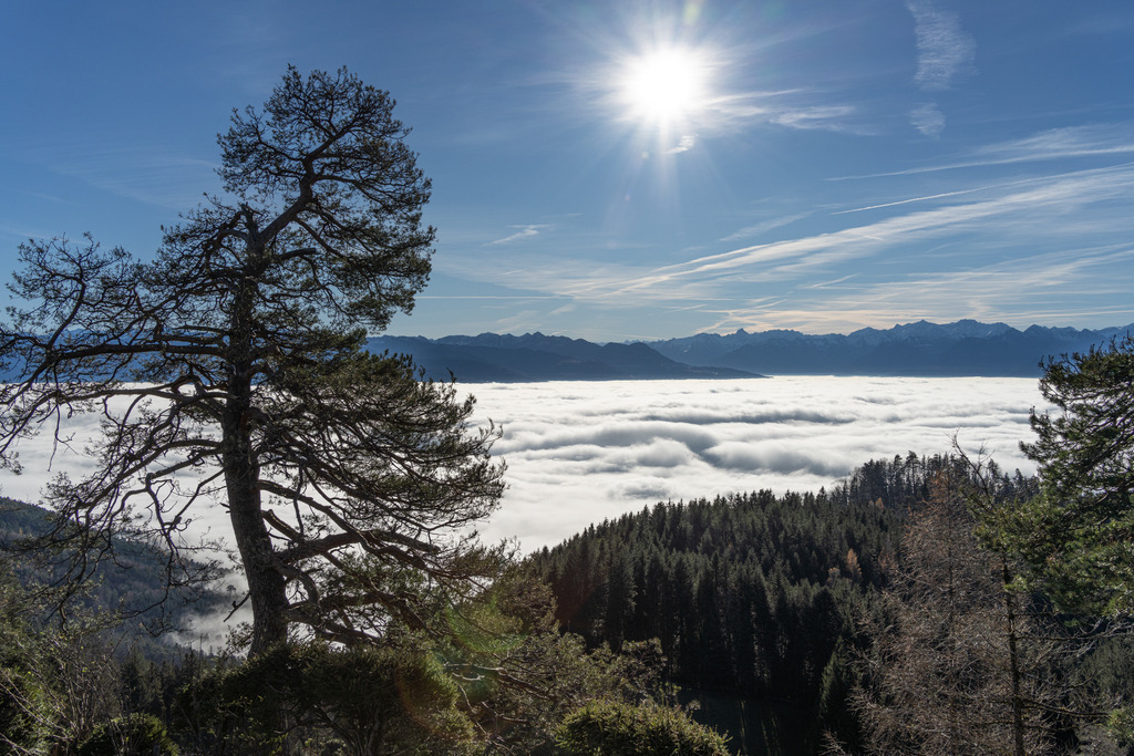 2021_11_20 BRM04269 | bridgeman - Realisiert mit Pictrs.com