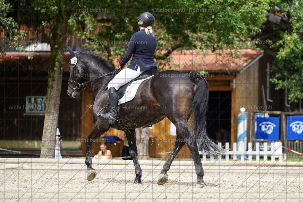 20230826-FAH05620 | Forstinning, 2023, Dressurturnier, Turniersportbilder, Turnierfotografen Bayern, Fotoagentur Herrmann, Reitsportfotografie, Turnierbilder