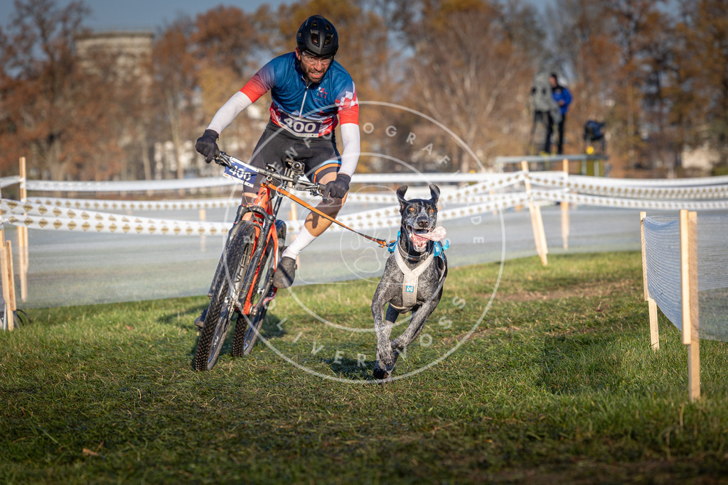 CaniXpix_0L8A3945 | Hundefotografie, Tierfotograf, Pfotenfotografie, Fotoshooting Hund, Hunde Portrait, Hundesport, Hundeportraits, Heideshooting, Hunde, Sportfotograf, Hundefotograf, Turnierhundsport, THS,  - Realisiert mit Pictrs.com