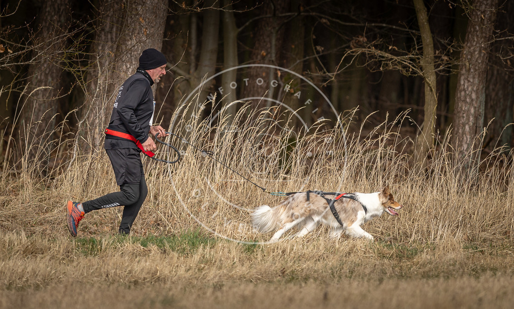 DV3A5410 | Hundefotografie, Tierfotograf, Pfotenfotografie, Fotoshooting Hund, Hunde Portrait, Hundesport, Hundeportraits, Heideshooting, Hunde, Sportfotograf, Hundefotograf, Turnierhundsport, THS,  - Realisiert mit Pictrs.com