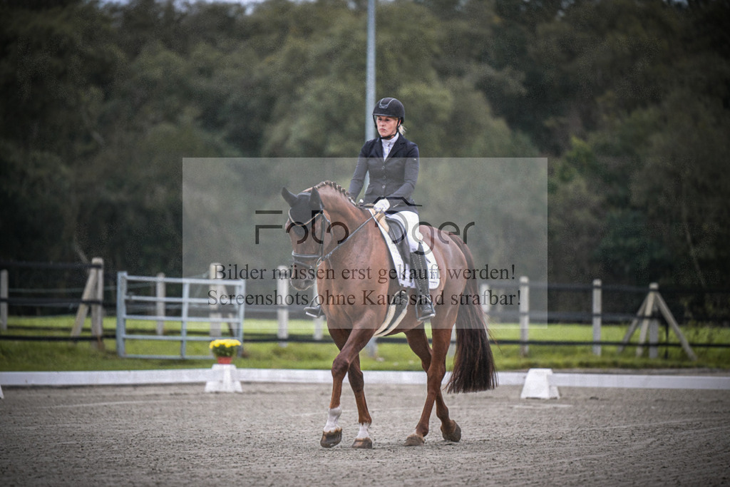 DOS_0004 | Entdecke hochwertige Reitturnierfotos von Foto Oger. Professionell, emotional und authentisch – jetzt Lieblingsmomente im Shop bestellen.Deutschlandweite Turnierfotografie. - Realisiert mit Pictrs.com
