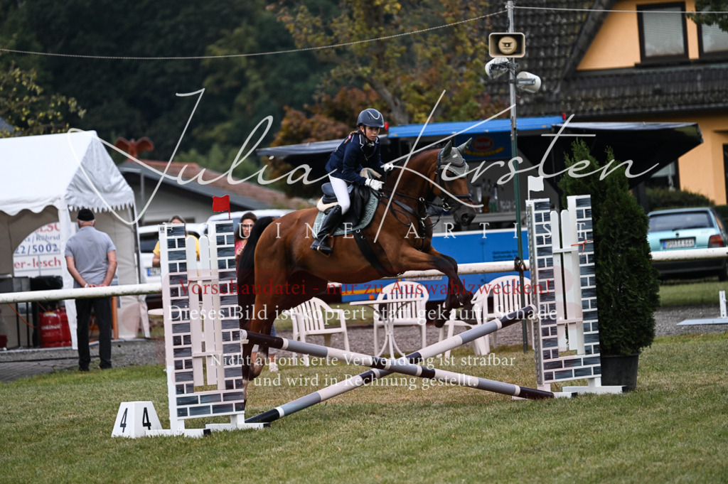 DSC_5681 | Pferde- und Turnierfotografie in Westsachsen. Pferdeportraits, Auftragszeichnungen und intuitive Kunst.