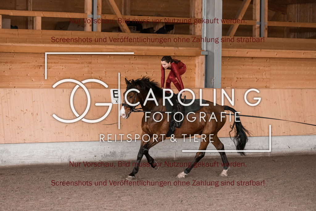 DSC_2045 | Turnierfotografin Carolin Gieschke,Reitsport Turnierfotografie Carolin G Fotografie | Turnierfotos aus Kirchheim/Teck, Esslingen, Stuttgart und dem Bodenseekreis
