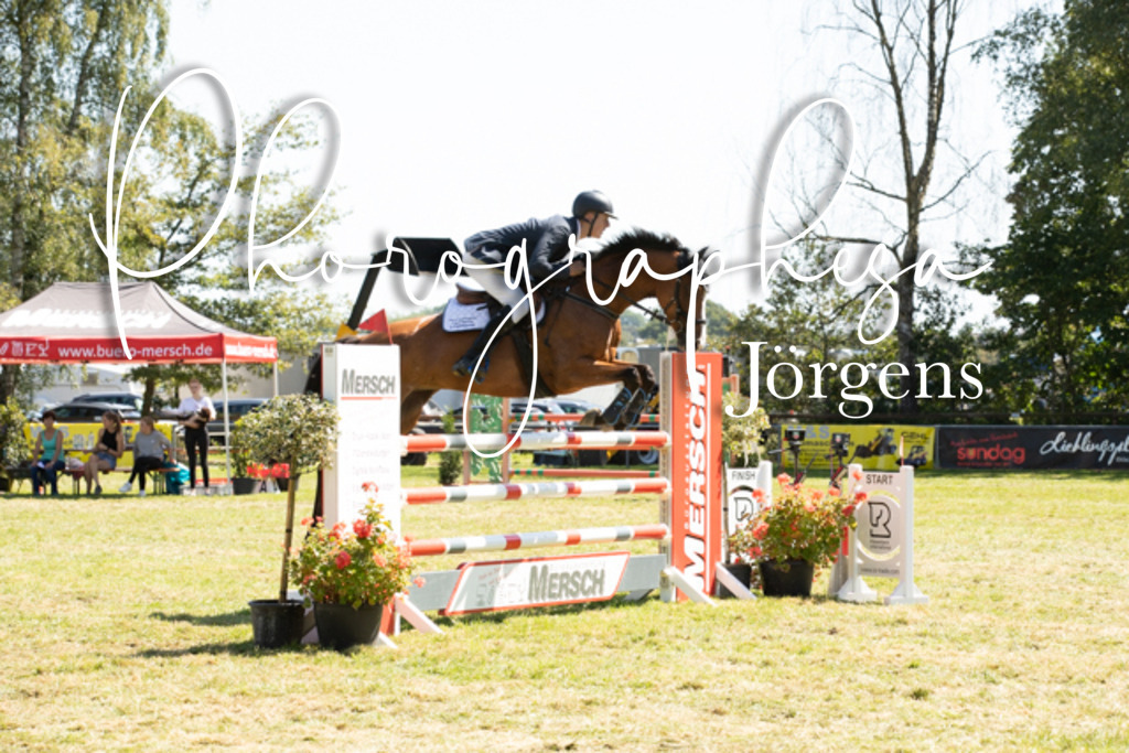 IMG_9100 | photographesa-joergens - Realisiert mit Pictrs.com