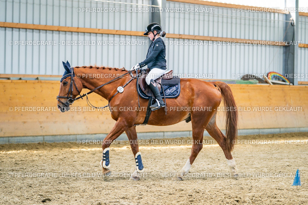 DSC01322 | Pferdegrafie