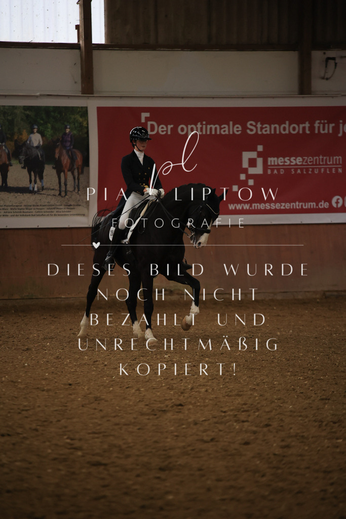 IMGT5946 | pl-fotografie