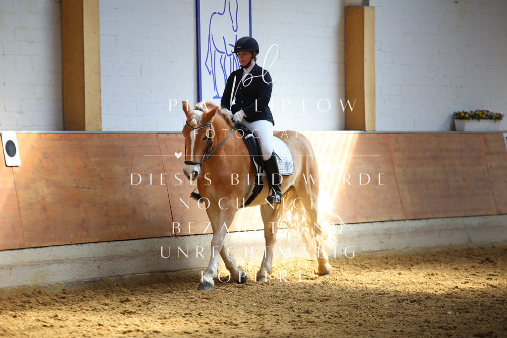 IMGT7318 | pl-fotografie