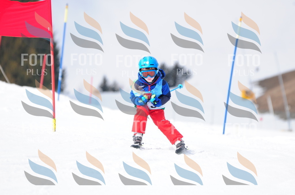 A3690 | holidayphoto