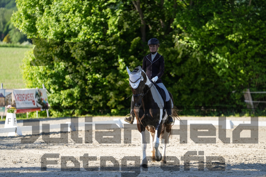 DSC00833 | Julian Held Fotografie - Realisiert mit Pictrs.com