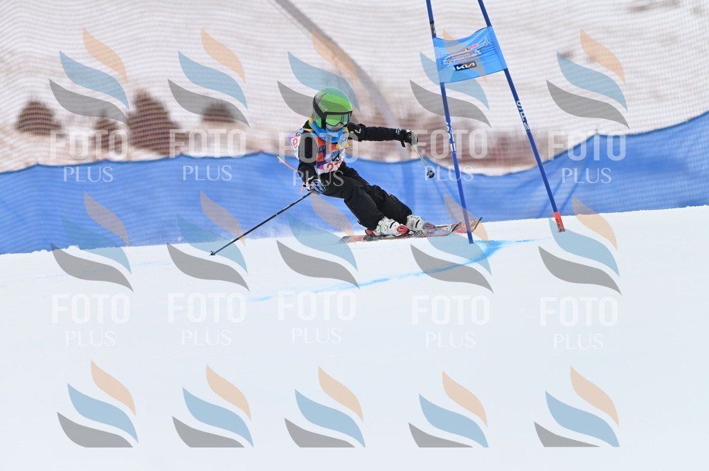 BGV_2960 | holidayphoto