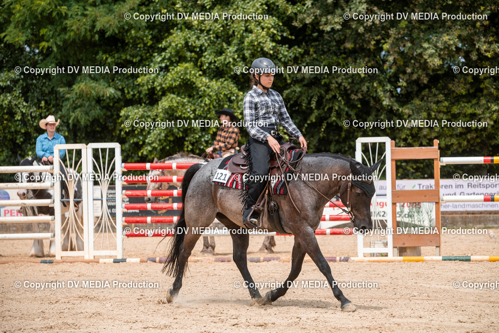 EWP_6319 | dv-media-shop - Realisiert mit Pictrs.com