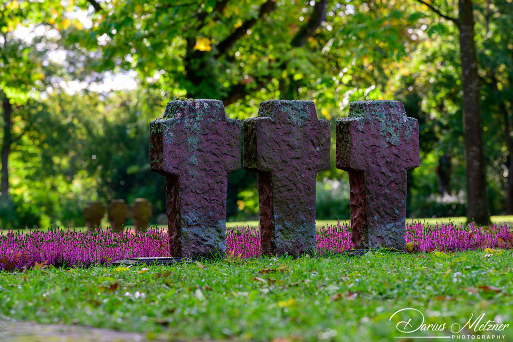 Der alte Hauptfriedhof in Mainz | Der alte Hauptfriedhof in Mainz