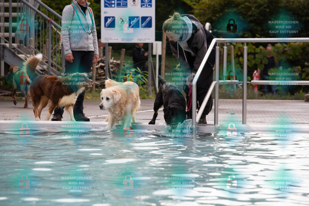 _HP_7538_1000o | HetPix, HetPix Fotodesign, Fotografie, Fotodesign, Webshop, Sportfotografie, Portraitfotografie, Onlineshop, Sportfotografie, Polch, Motorsportfotografie, Eventfotografie