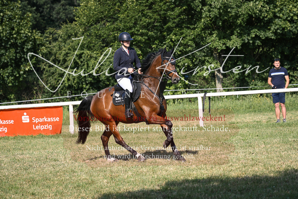 DSC_1453 | Pferde- und Turnierfotografie in Westsachsen. Pferdeportraits, Auftragszeichnungen und intuitive Kunst.