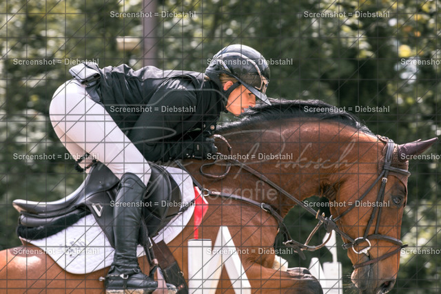 _W6A7485 | ronjaprokoschfotografie - Realisiert mit Pictrs.com
