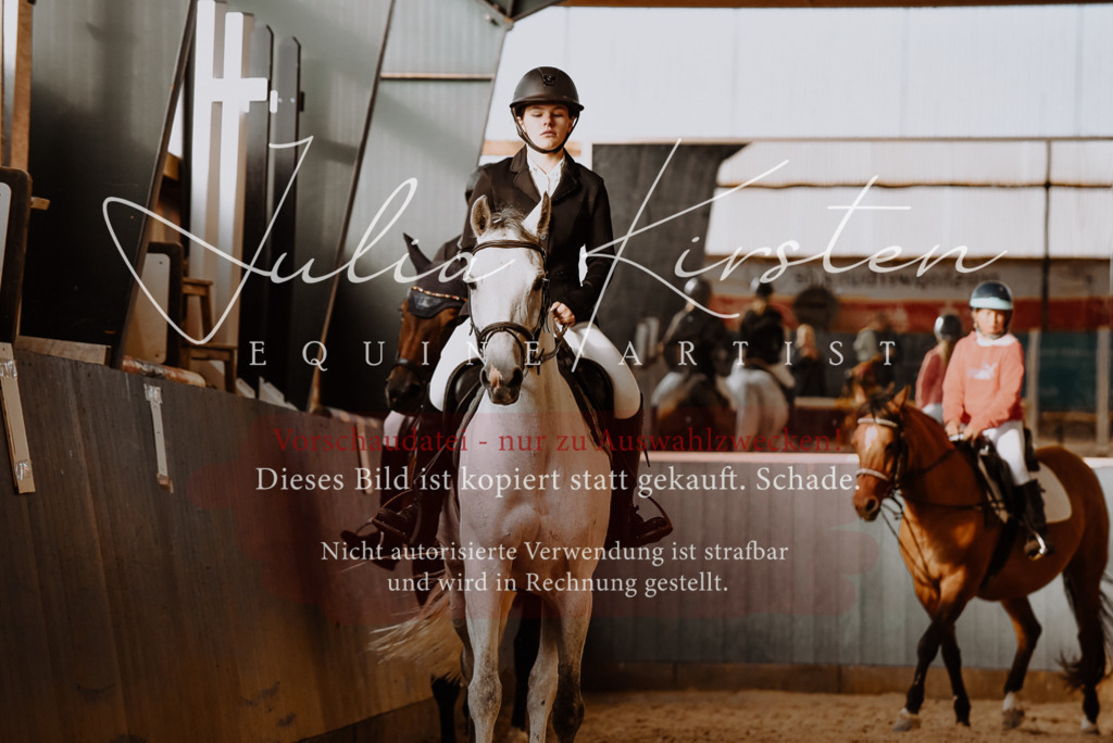 DSC_7537 | Pferde- und Turnierfotografie in Westsachsen. Pferdeportraits, Auftragszeichnungen und intuitive Kunst.