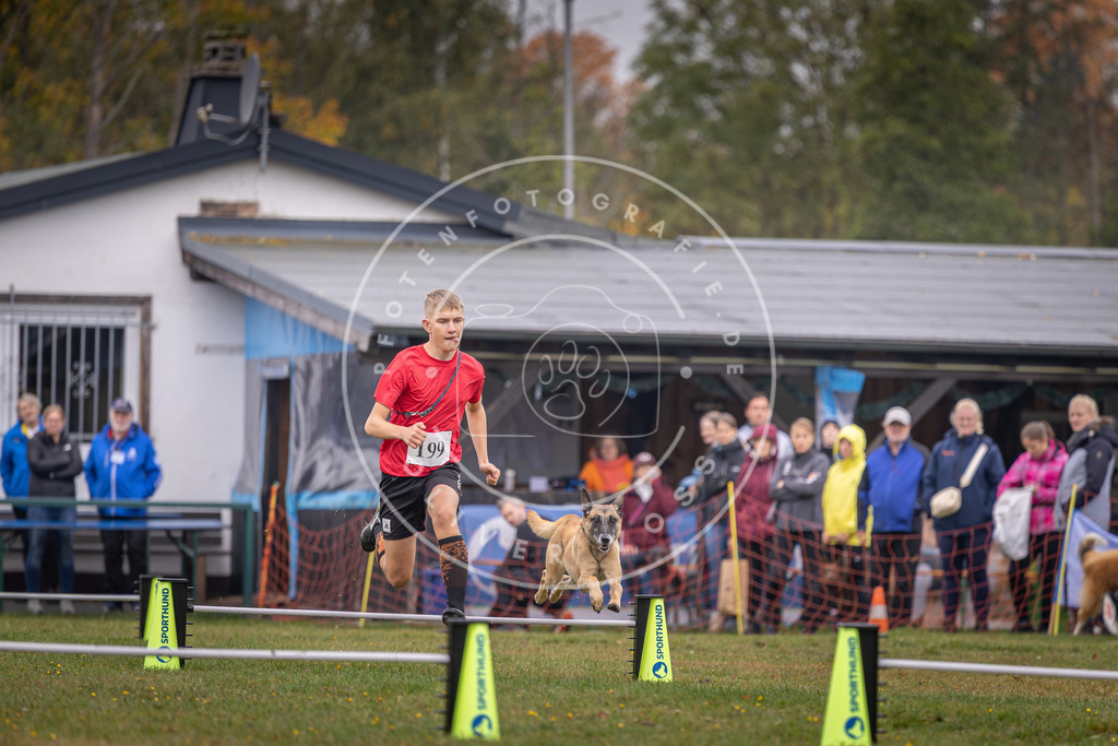 Pfotenfotografie_DV3A0800 | Hundefotografie, Tierfotograf, Pfotenfotografie, Fotoshooting Hund, Hunde Portrait, Hundesport, Hundeportraits, Heideshooting, Hunde, Sportfotograf, Hundefotograf, Turnierhundsport, THS,  - Realisiert mit Pictrs.com