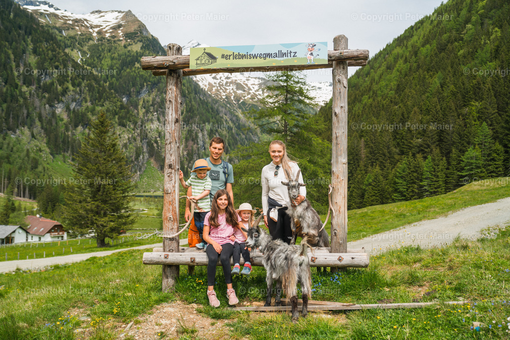 Rent_a_Goas_2024-877 | piet_flosse