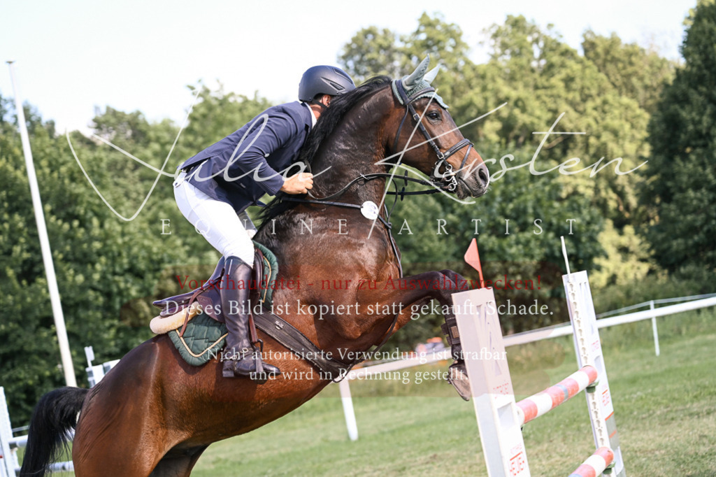 DSC_1408 | Pferde- und Turnierfotografie in Westsachsen. Pferdeportraits, Auftragszeichnungen und intuitive Kunst.