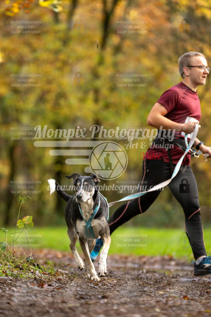 MompixPhotography_Bischwiller23_Canicross-133 | PayLife