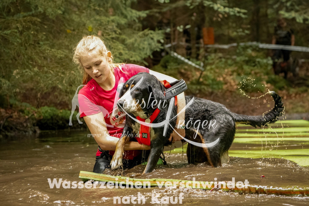 1215_ZZ93360-Bearbeitet | kk-dogfotos