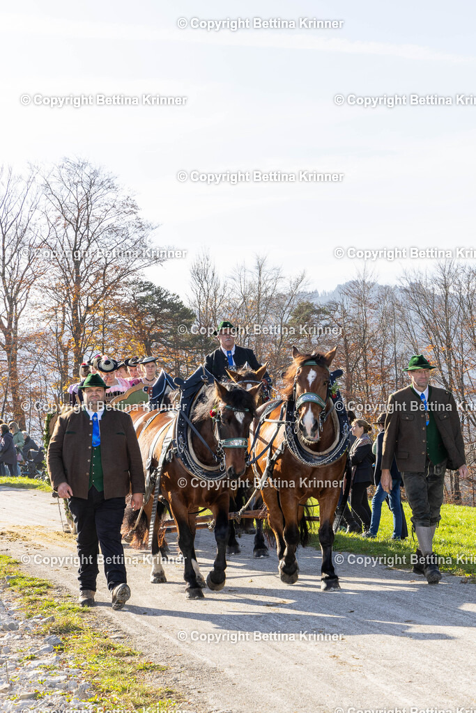 LBT24-1479 | foto-bettina-krinner - Realisiert mit Pictrs.com