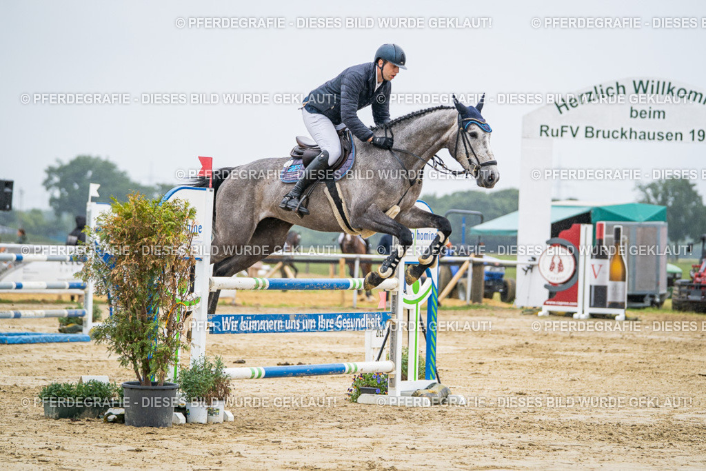 DSC02840 | Pferdegrafie