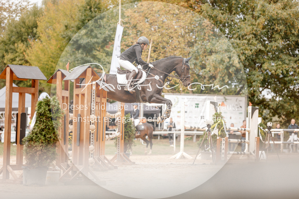 3I6A8064 | Stimmungsvolle Portraits und Reitsportfotografie im Ruhrgebiet und im Münsterland.

Pferdefotografie, Hundefotografie, Tierfotografie, Reportagen, Portraits von Tier und Mensch, Turnierfotografie in Bochum, Recklinghausen, Marl, Haltern am See, Dülmen.. - Realisiert mit Pictrs.com