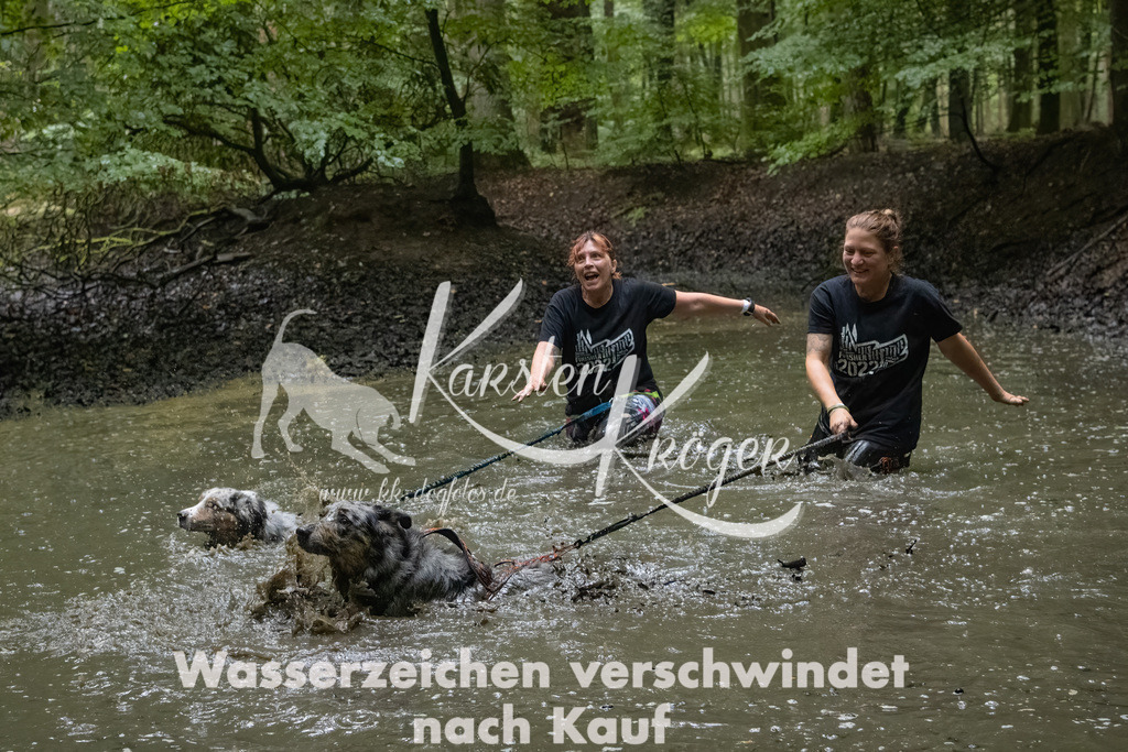 0939_ZZ91023-Bearbeitet | kk-dogfotos