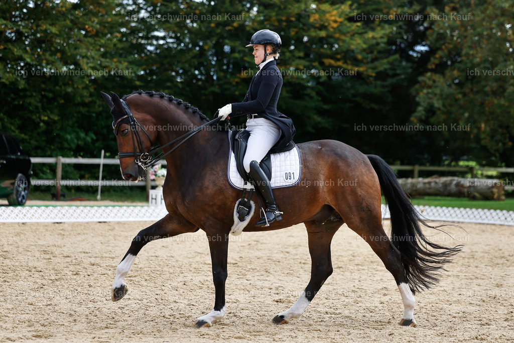 11-091-Dressur S___-StoibPH-1278 | working equitationturnier fotograf videograf stoibphotography marixx film working equitation deutschland reitsport turnierfotografie eventfotografie equestrian events