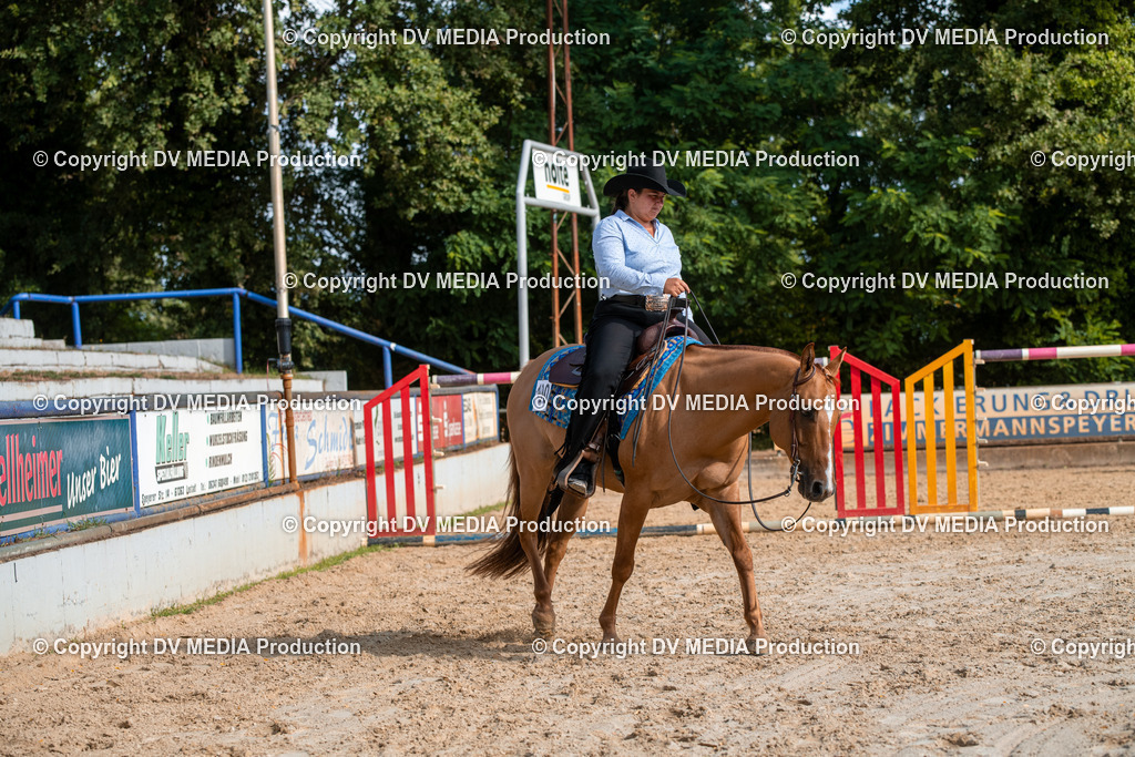 ZS3_9281 | dv-media-shop - Realisiert mit Pictrs.com