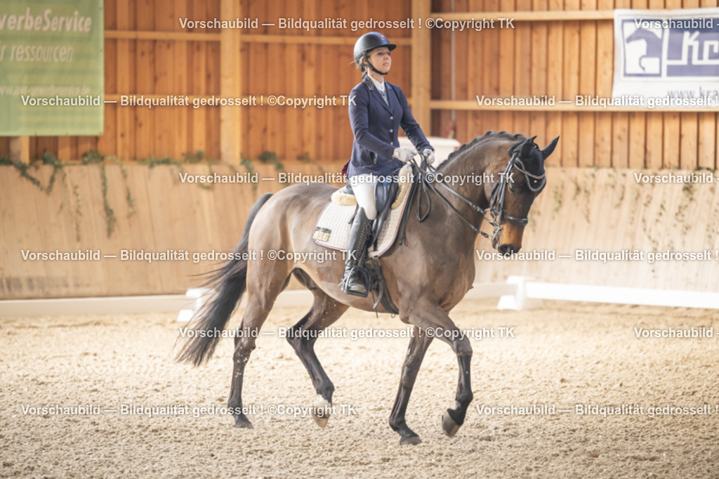 _D5A2625 | Emotionale Pferde- & People-Fotografie rund um Heidelberg, Leimen & Umgebung. Natürliche Fotos von Pferd, Mensch & Familie. Jetzt Termin sichern!