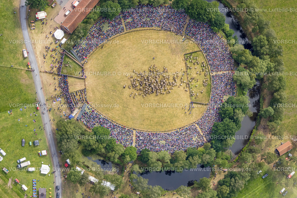 Duelmen220505192MerfelderBruchPferde | Luftbild, Wildpferdefang im Merfelder Bruch bei Dülmen, Arena der Wildpferdebahn, Herzöge von Croÿ Anwesen, Pferdeherde,  Merfeld, Dülmen, Münsterland, Nordrhein-Westfalen, Deutschland