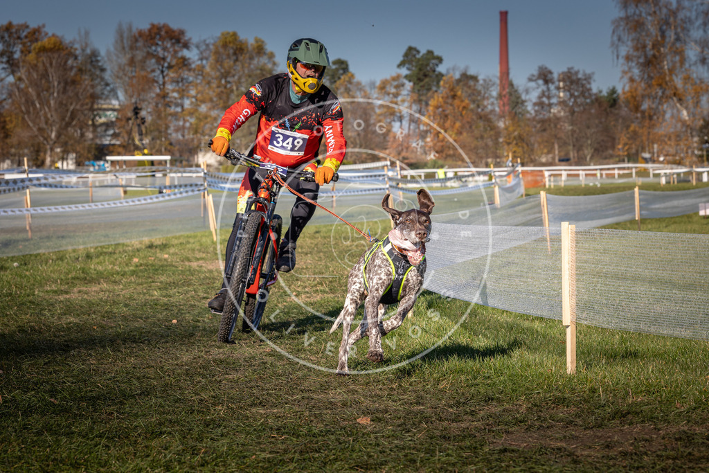 CaniXpix_0L8A6067 | Hundefotografie, Tierfotograf, Pfotenfotografie, Fotoshooting Hund, Hunde Portrait, Hundesport, Hundeportraits, Heideshooting, Hunde, Sportfotograf, Hundefotograf, Turnierhundsport, THS,  - Realisiert mit Pictrs.com