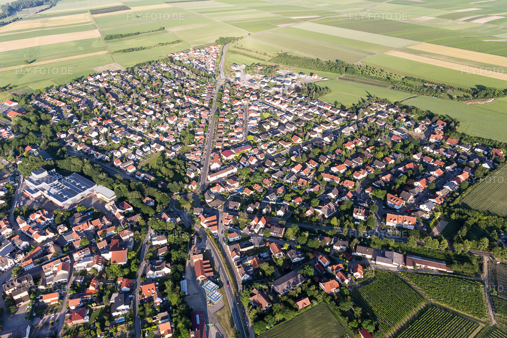 Luftbild: Landwirtschaftliche Nutzflächen und Feldgrenzen umsäumen das Siedlungsgebiet des Dorfes in Westhofen im Bundesland Rheinland-Pfalz in Deutschland. Foto: IMG_107661.jpg vom 03.06.2018 durch Werner Riehm/FLY-FOTO.de