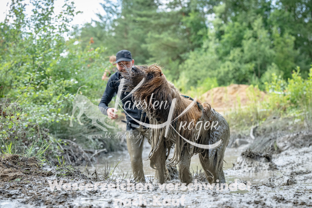 1015_ZZ91312 | kk-dogfotos