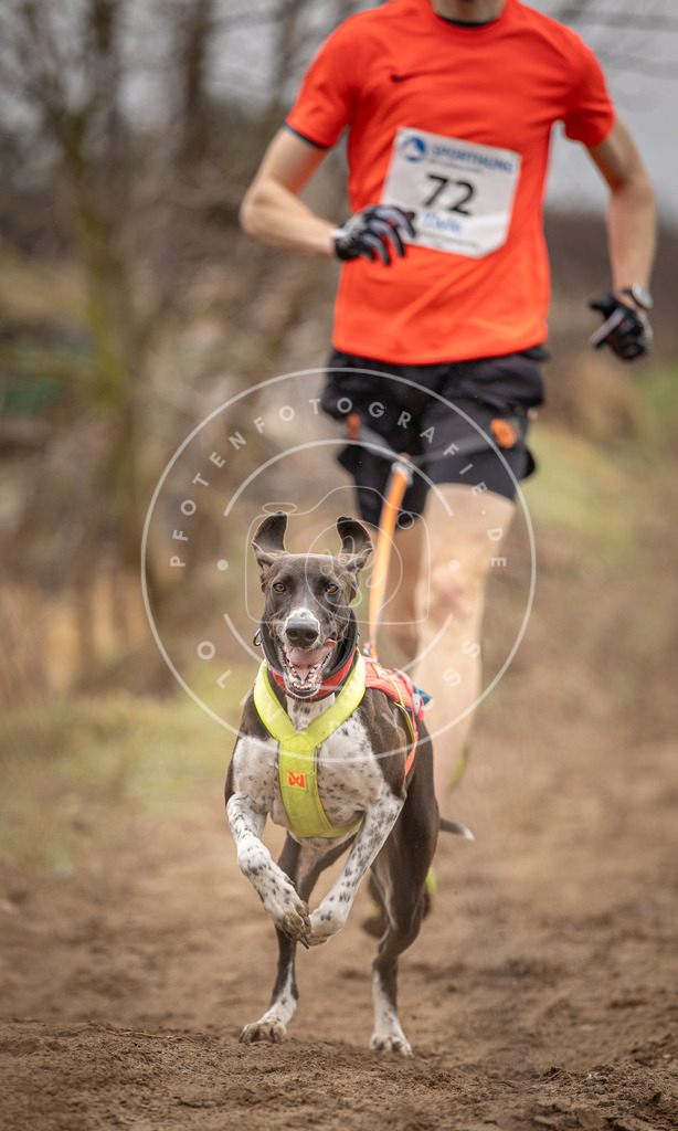 DV3A9670 | Hundefotografie, Tierfotograf, Pfotenfotografie, Fotoshooting Hund, Hunde Portrait, Hundesport, Hundeportraits, Heideshooting, Hunde, Sportfotograf, Hundefotograf, Turnierhundsport, THS,  - Realisiert mit Pictrs.com