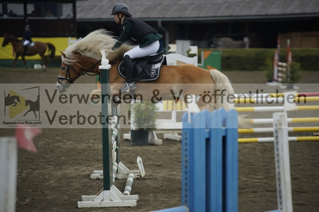 _DSC6774 | equestrian-live-com