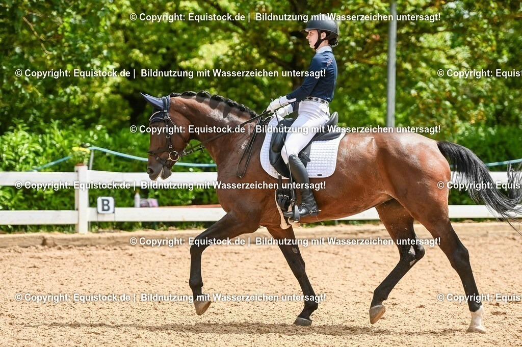 20230716_03_Dressurprfg. Kl.L - Tr._0265 | equistock