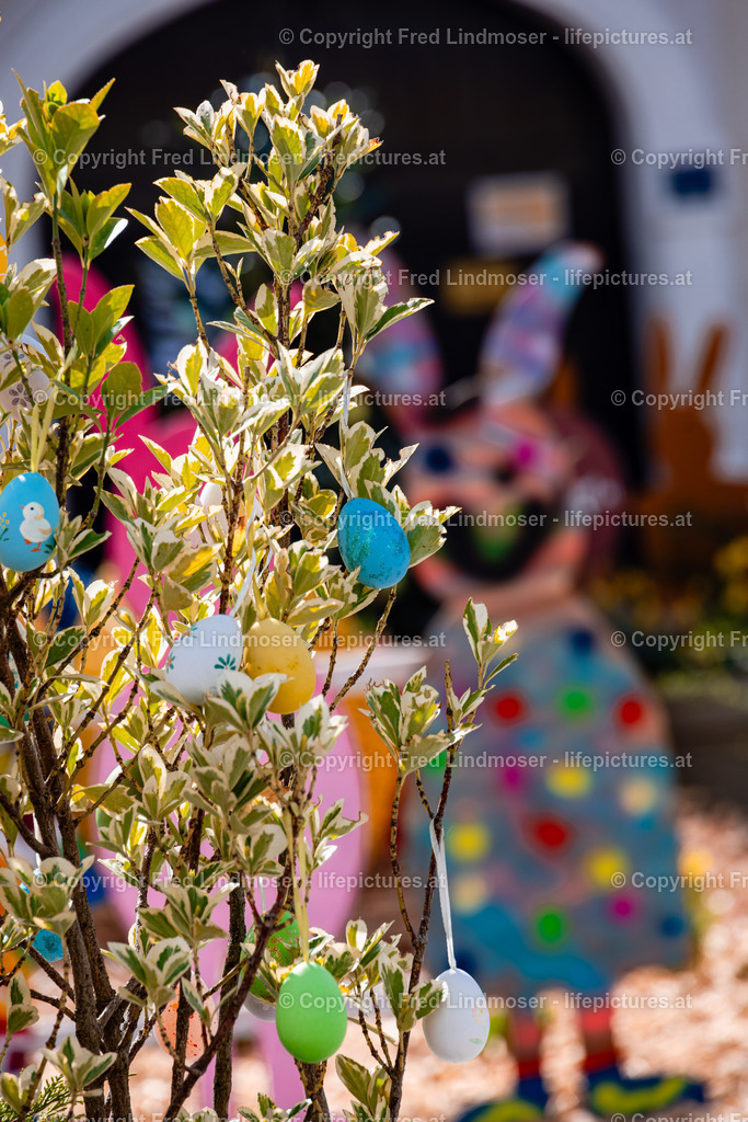 Frohnleiten Osterdeko 09042025 | Fotos und Fotoprodukte - Realisiert mit Pictrs.com