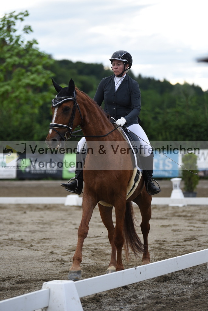 DSC_6436 | equestrian-live-com